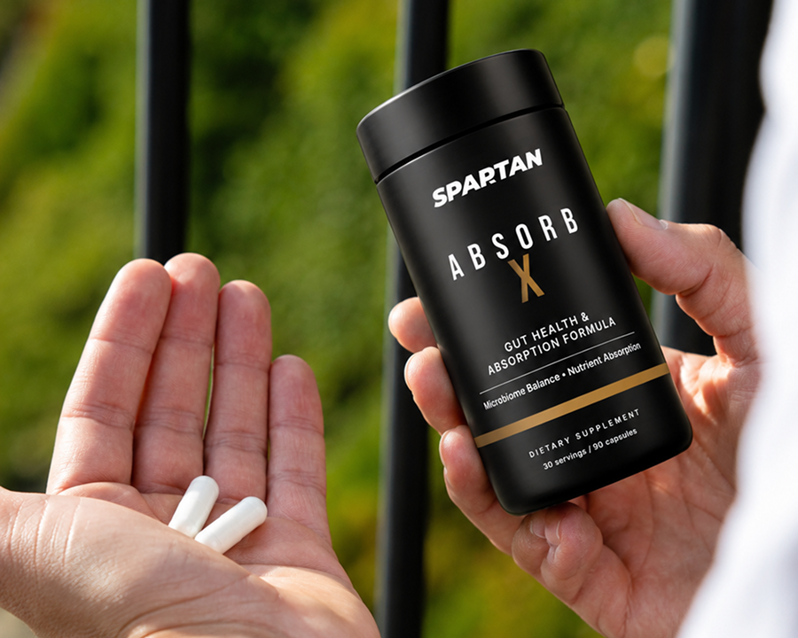 Absorb X