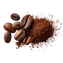Theobromine