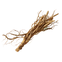 Glucomannan (Konjac Root Fiber)