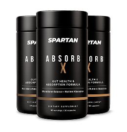 3x AbsorbX