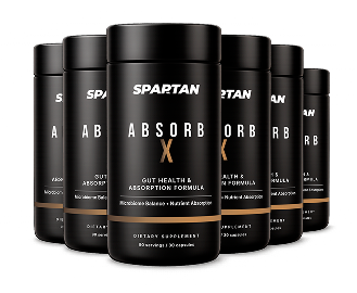 6x AbsorbX