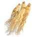 Chinese Angelica Extract