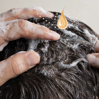 NOURISH THE FOLLICLES
